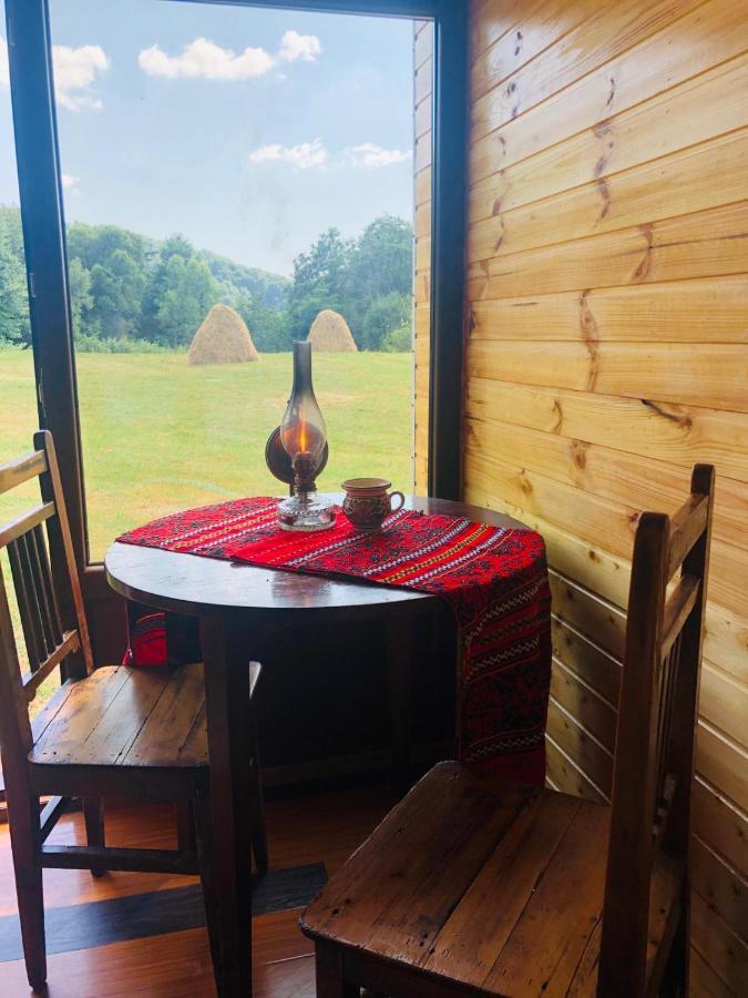 La Container Hotell Curtea de Argeş Eksteriør bilde