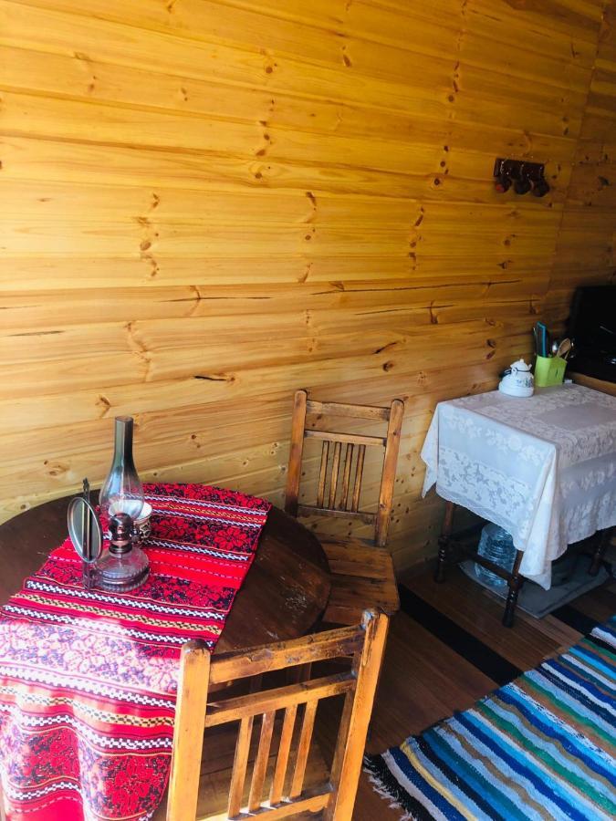 La Container Hotell Curtea de Argeş Eksteriør bilde